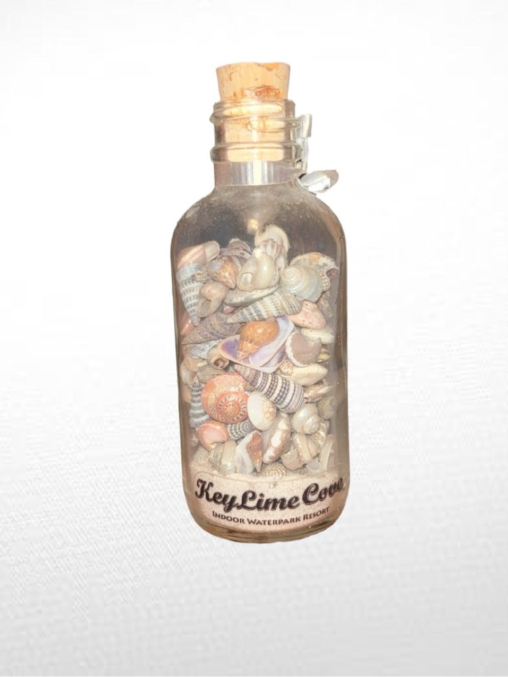 Key Lime Cove Seashell Souvenir Bottle